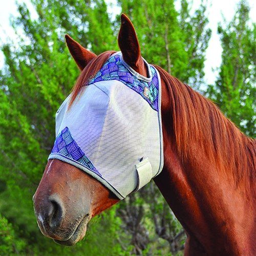 Western Tack Santa Ynez, CA